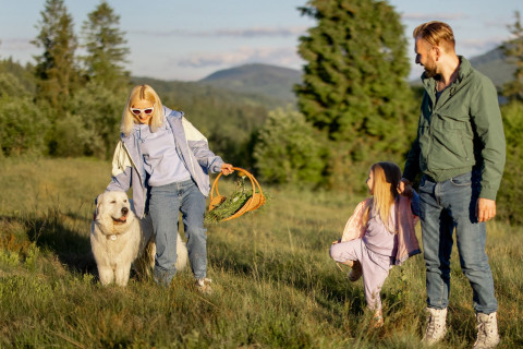 Porodični odmor na Zlatiboru