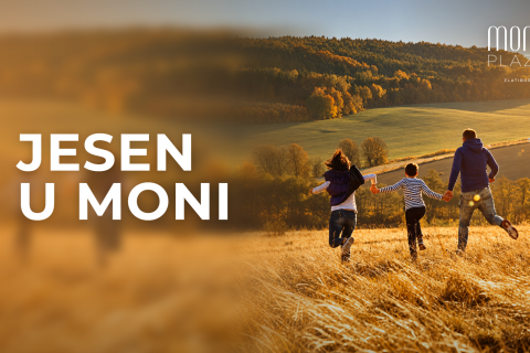 Autumn in Zlatibor