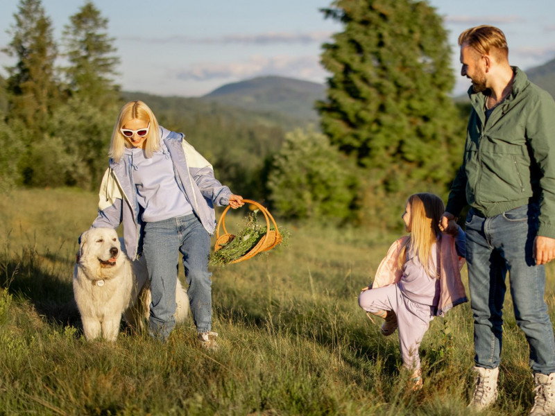 Porodični odmor na Zlatiboru