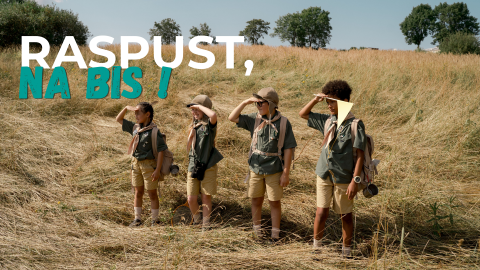 Raspust na bis