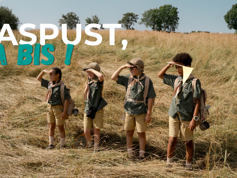 Raspust na bis