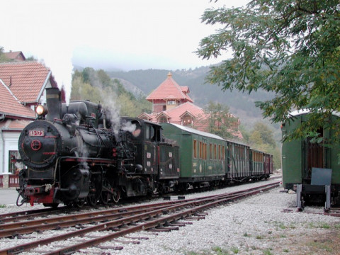 MOKRA GORA I DRVENGRAD
