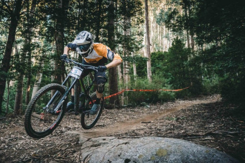 EXPLORE ZLATIBOR BY BIKE